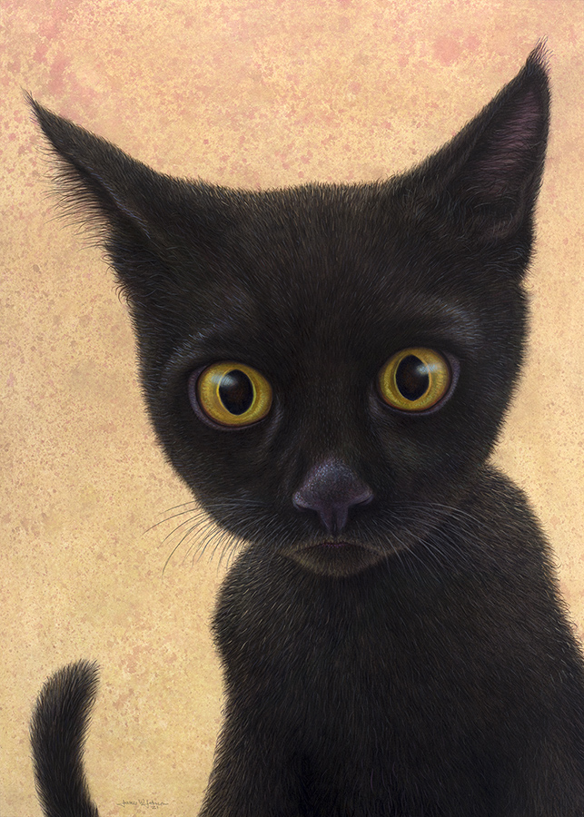 Little Black Cat